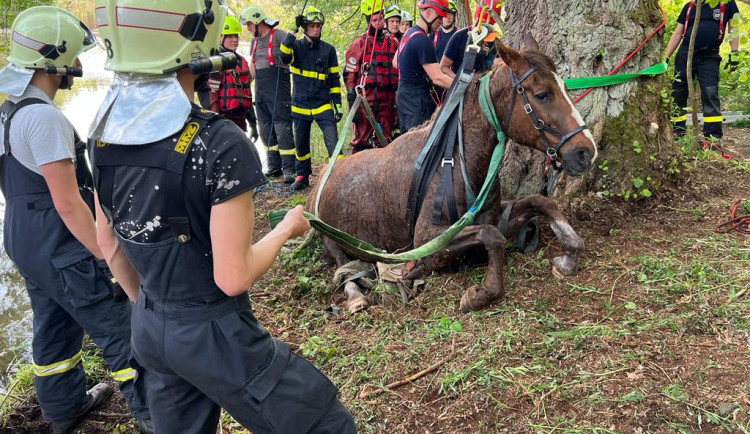 Koně dostávali ven přes hodinu.