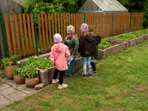 V Turnově mají jedlou školní zahradu, starají se o ní děti