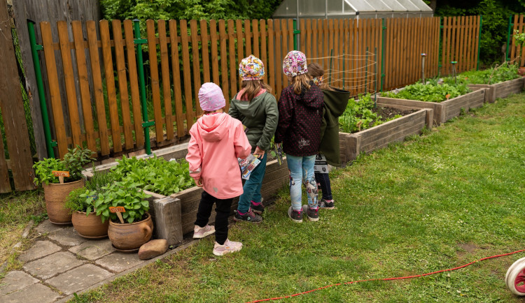 V Turnově mají jedlou školní zahradu, starají se o ni studenti