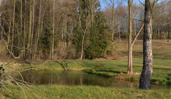 Na Frýdlantsku bude vybudovaná soustava tůní.
