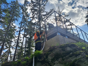 Hasiči cvičili zásah u lesního požáru, dnes zkušenosti využili naostro