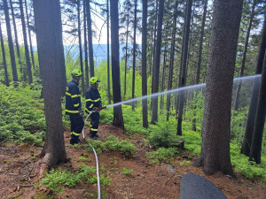 Hasiči cvičili zásah u lesního požáru, dnes zkušenosti využili naostro