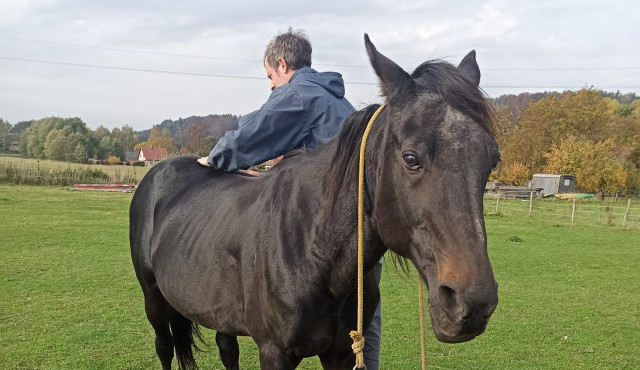 Zuzka věnuje celý svůj život záchraně zvířat. Nyní potřebuje rodačka z Liberce pomoci