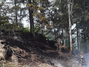 Meteorologové kvůli suchu dál rozšířili výstrahu na nebezpečí požárů, nově platí i pro většinu Libereckého kraje