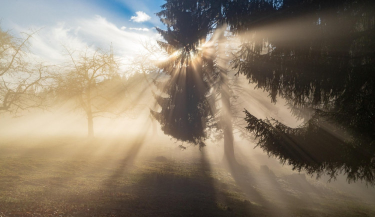 Čeká nás prosluněný víkend. V maximech naměříme až 24 stupňů