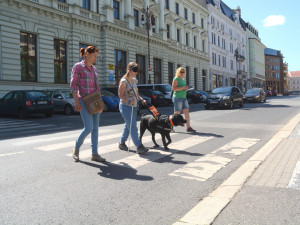 Nevidomí lidé se svými psími parťáky soutěžili v ulicích Liberce
