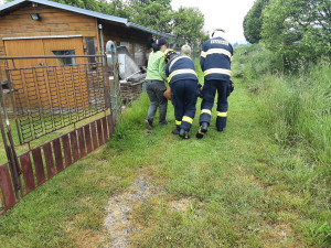 Srnu zaklíněnou v plotě vyprostili hasiči, bez zranění odskákala do louky
