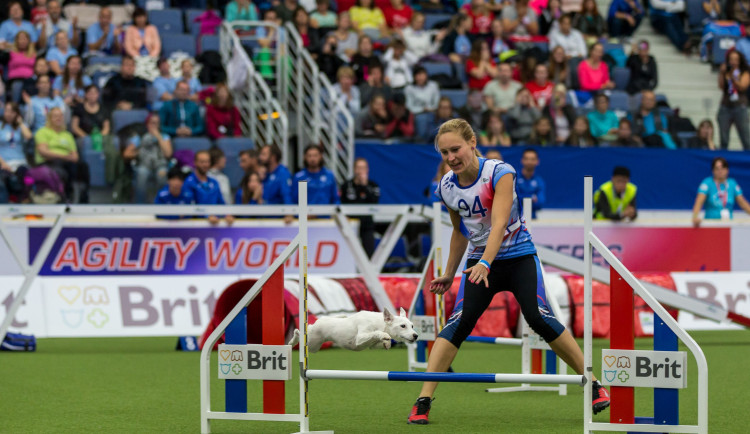 Mistrovství světa v agility 2023 se v Liberci uskuteční 4. - 8. října.