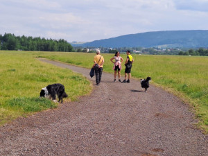 Uklízíte po svém psu? Vyrazili jsme na kontrolu s libereckými strážníky