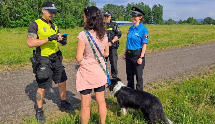 Strážníci kontrolují buď namátkově anebo ve více hlídkách.