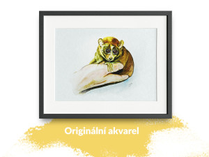 Práce veterináře je věčné balancování mezi osobním životem a prací