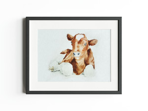 Práce veterináře je věčné balancování mezi osobním životem a prací