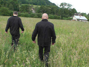 Odsouzení z Rýnovic pomáhali vyhánět srnky z luk před senosečí