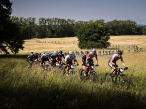 O Malevil Cup 2023 se porvou Stiebjahn, Frey, Adel nebo Rauchfuss