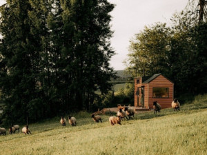 Vyhrajte víkendový pobyt v Jizerkách pro dva s firmou Greenwell, která slaví rok na trhu