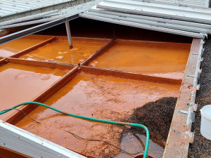 Unikátní technologie libereckých vědců dokáže čistit kontaminované vody. Využijí ji na skládce chemického odpadu v Polsku