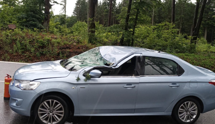 Zranění po bouři. Na ženu spadla lípa, motorkář narazil do stromu