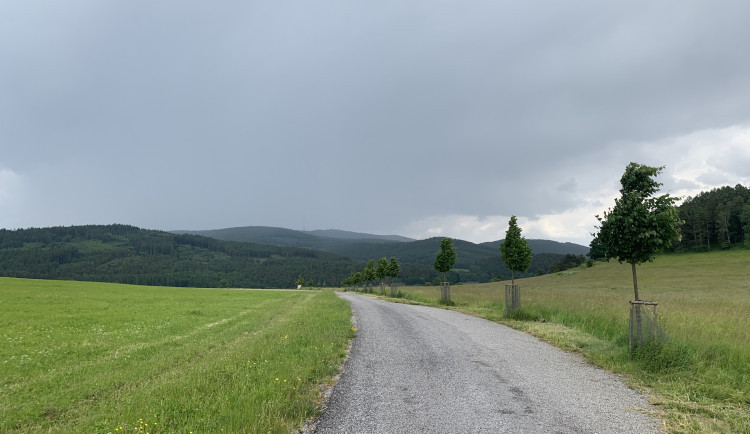 Do Česka dorazily bouřky. Hrozí silný vítr, přívalové deště i kroupy