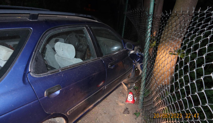 Vůz narazil do plotu a stromu.