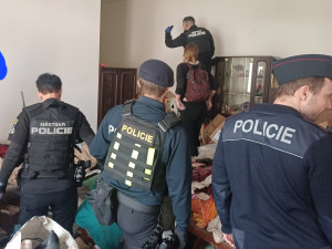 Tři desítky koček živořily v hrozných podmínkách. Policie prověřuje týrání