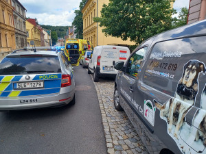 Tři desítky koček živořily v hrozných podmínkách. Policie prověřuje týrání
