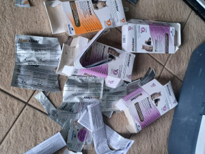 Tři desítky koček živořily v hrozných podmínkách. Policie prověřuje týrání