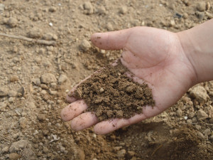 Liberec uzavře memorandum ohledně možného zřízení kompostárny v Chotyni