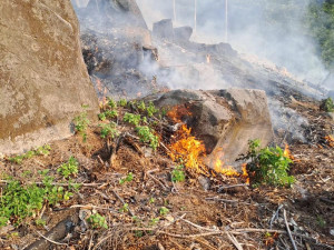 Hasiči v uplynulých dnech zápolili s požárem lesa i dřevěných staveb