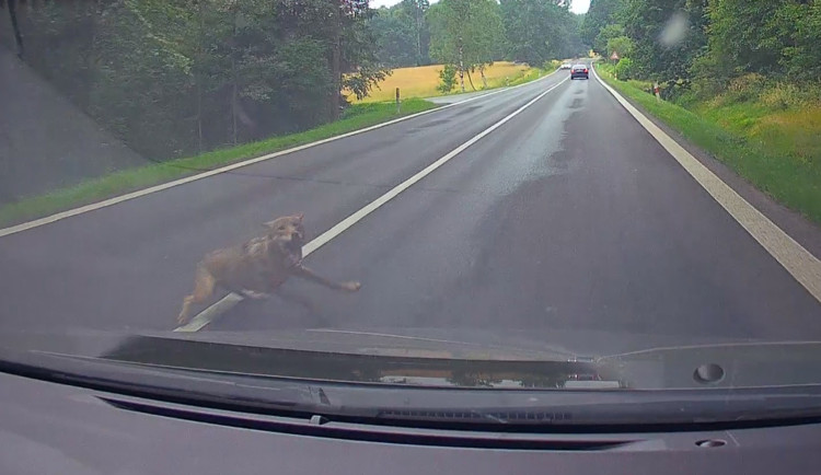 Záběr z palubní kamery vozu.