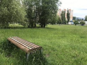 Liberec kvůli horku pozastavil od začátku léta celoplošné sečení trávníků