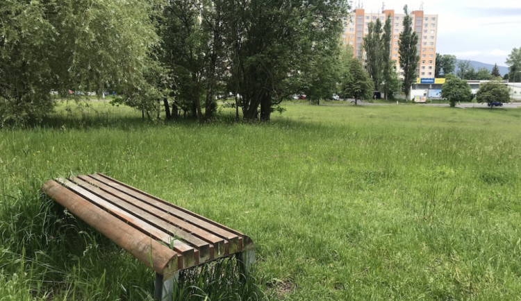 Liberec kvůli horku pozastavil od začátku léta celoplošné sečení trávníků