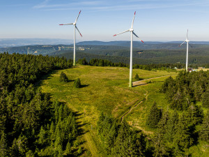 Na premiérový závod Běhej lesy na Klínovci si našlo cestu přes 1 600 běžců