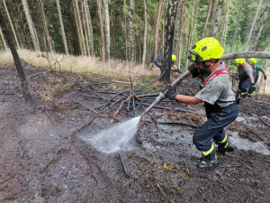 U Jablonného hořel les, hasičům se povedlo oheň lokalizovat