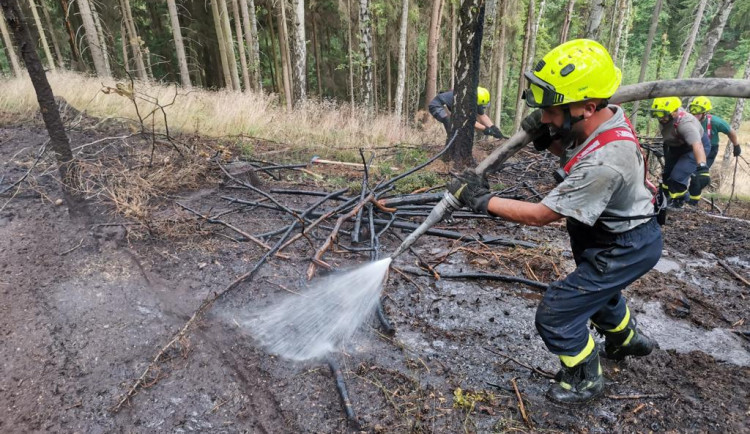 Hasiči likvidují požár lesa ve Lvové.