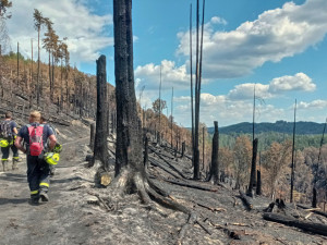 Vidět spáleniště s ohořelými zbytky bylo skličující, vzpomíná hasič na požár v Českém Švýcarsku