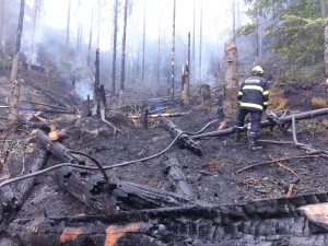 Vidět spáleniště s ohořelými zbytky bylo skličující, vzpomíná hasič na požár v Českém Švýcarsku