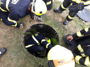 Hasiči zachránili psa, který uvízl v septiku. Zvládli to za pět minut