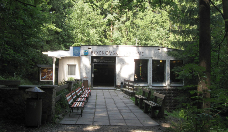 Bozkovské dolomitové jskyně.