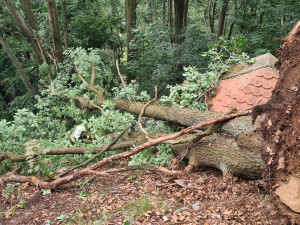 Cesta na hrad Bezděz je opět bezpečná, stromy popadané při vichřici odstranili