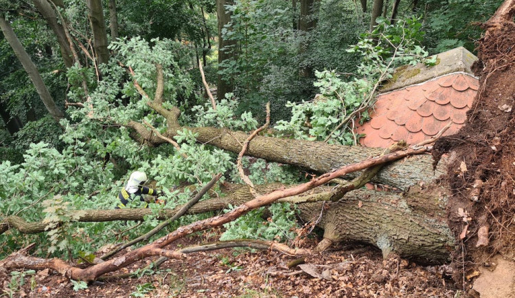 Cesta na hrad Bezděz je opět bezpečná, stromy popadané při vichřici odstranili