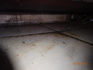 Dříve vyhlášenou zmrzlinárnu zavřela inspekce. Našla trus hlodavců i plesnivé potraviny