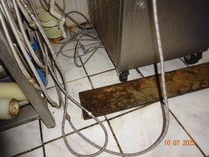 Dříve vyhlášenou zmrzlinárnu zavřela inspekce. Našla trus hlodavců i plesnivé potraviny