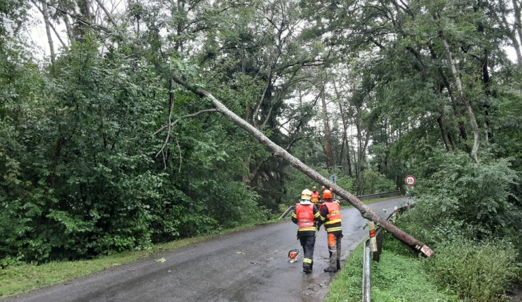 Voda ve sklepích a vyvrácené stromy. Lijáky zaměstnávají hasiče v Olomouckém kraji