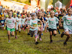 Beskydská idylka. Sluníčko na Bílou přilákalo pořádnou lesní smečku