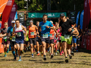 Beskydská idylka. Sluníčko na Bílou přilákalo pořádnou lesní smečku
