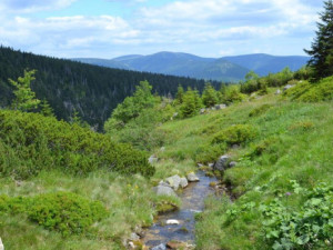 Víkendovou krásu Krkonoš nabídne dvacetikilometrová Harrachova cesta