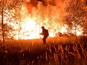 Hasiči z Libereckého kraje pomáhají kolegům s obrovským požárem pražců v Tisové