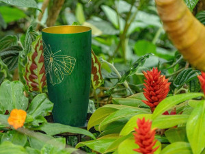 Sklo na náměstí, v tramvaji i botanické zahradě. V Liberci probíhá sklářský festival