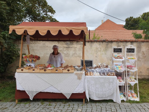 Tatrhy opět míří do Liberce. Spojí se s oslavami výročí Severočeského muzea