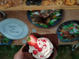 Tatrhy opět míří do Liberce. Spojí se s oslavami výročí Severočeského muzea